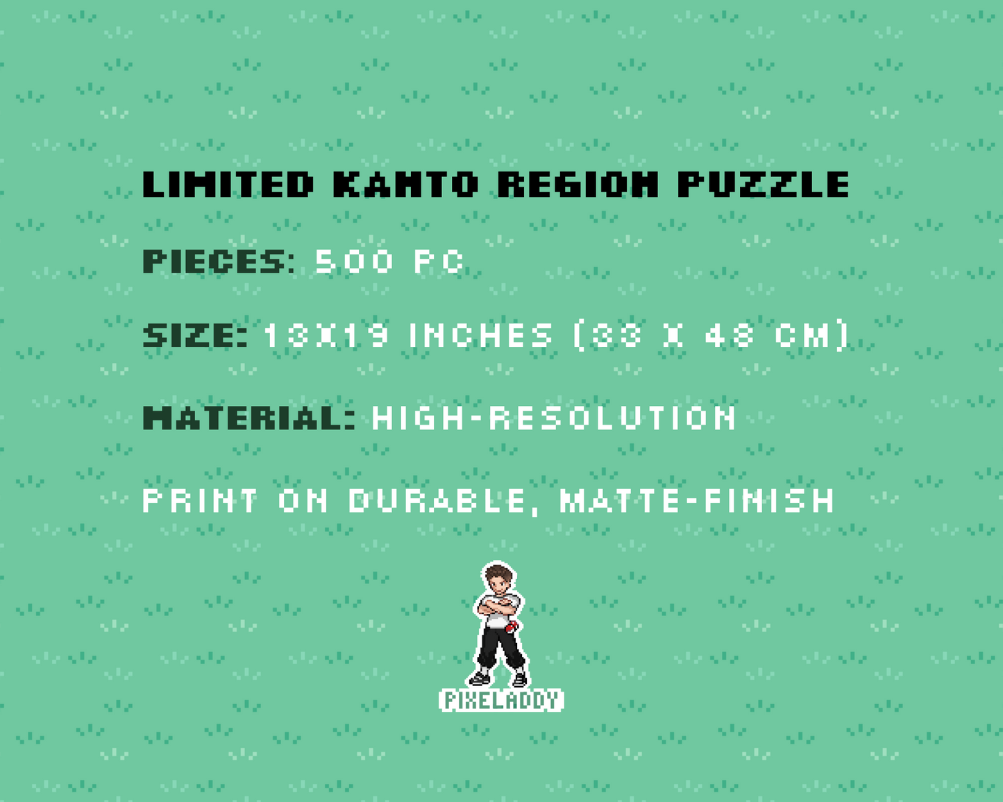 Rompecabezas exclusivo de la región de Kanto